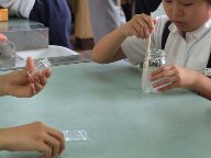 守口小学校の児童が、ゼリー状になったものに別の粉を入れて混ぜている様子を写した写真