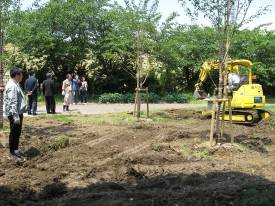 下島小学校校庭にある木々の間をぬって、土を約10〜15センチメートル程度、黄色いショベルカーで掘り起こしている写真