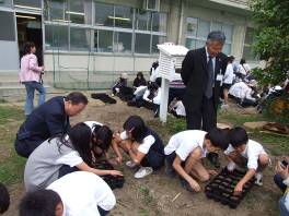 下島小学校の6年生児童が地面にしゃがみ込みながら、補植用のポット苗を作っている姿と、それを見守る大人の写真