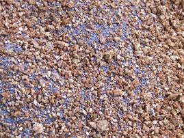 土に混じって青紫色をした芝生の種が見えている写真