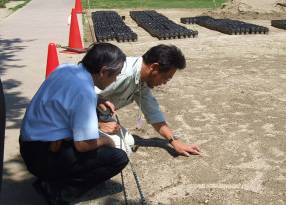 専門家とともに地面にしゃがみ込み、芝生化区域の発芽確認をする人々の写真