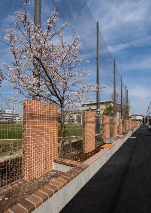 歩道に沿って桜の木が植えられている写真