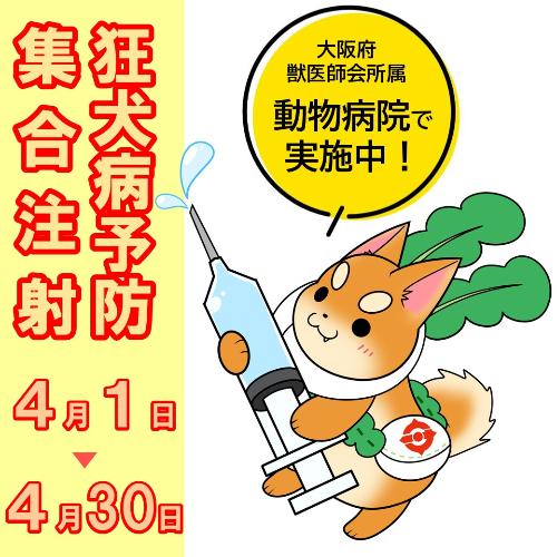 令和7年度集合注射啓発
