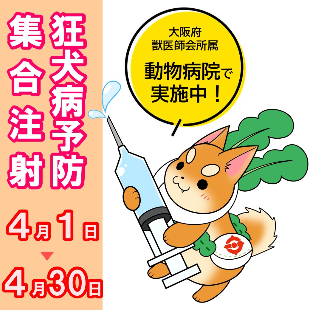 狂犬病集合注射啓発画像。注射器を持ったもりきち。4月1日から30日