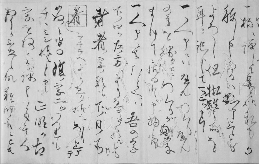 白い紙に流れるような筆で書かれた中西五郎右衛門宛秦鼎書状(部分) の写真