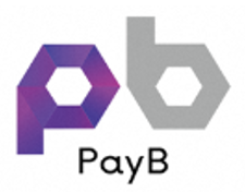 PayBロゴ 「pb」のデザイン文字と「PayB」