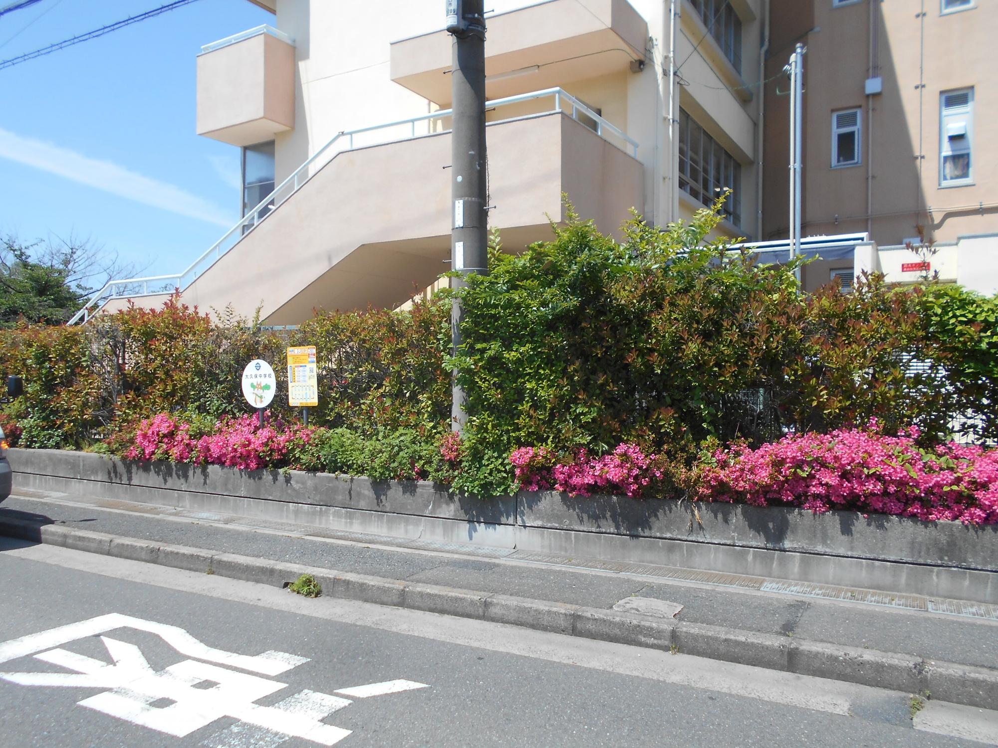 大久保中学校（遠景）