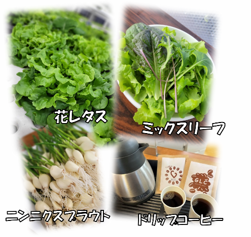 グリーンファーム守口