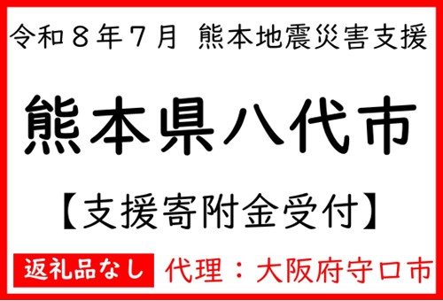 熊本県八代市へのふるさと納税代理寄附受付ページへ移動する