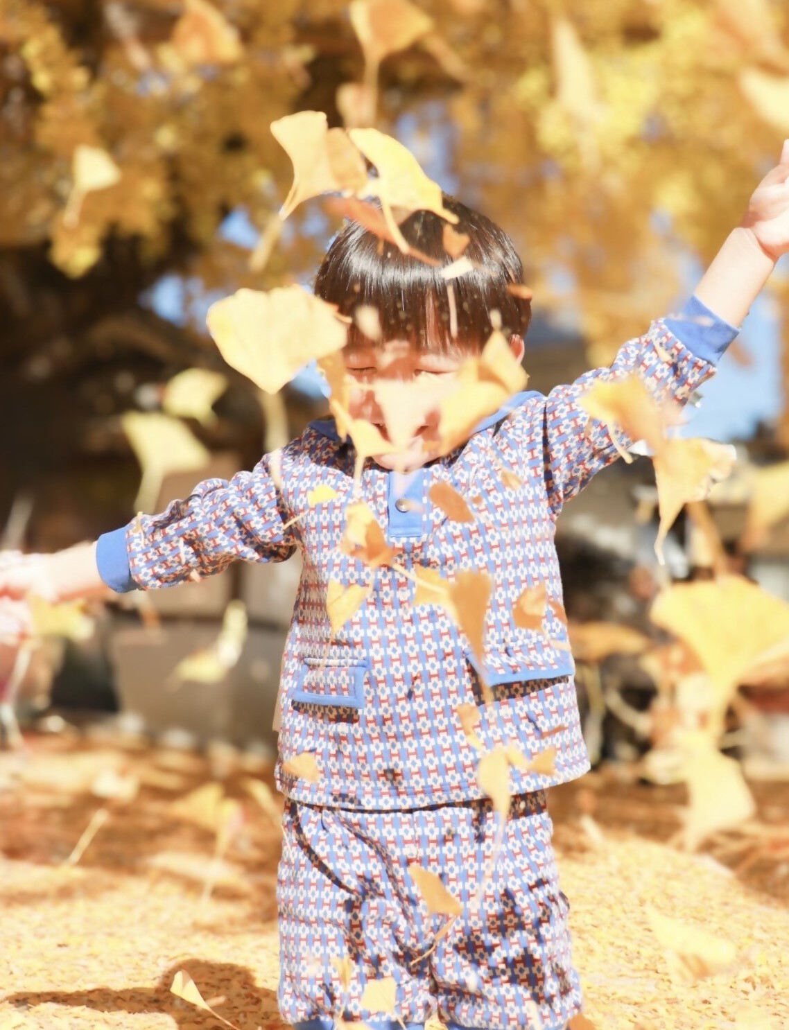 もりスマイルフォトコンテスト2025の候補写真のタイトルきらきら落ち葉と笑顔